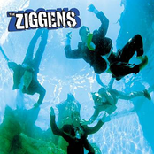 Debutante by The Ziggens