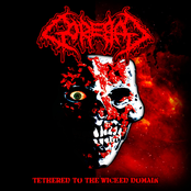 Psyche of the Debauched