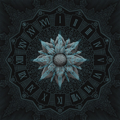 Strangers In Paradise