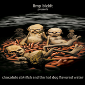 Chocolate Starfish and the Hot Dog Flavored Water Album Picture