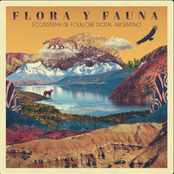 Flora y Fauna: Ecosistema de Folklore Digital Argentino