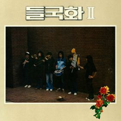 들국화 2집