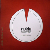 Nublu Orchestra