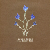 Angels And Brotherly Love by Saxon Shore