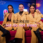 We Do Not Sleep - Single