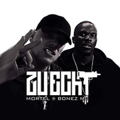 Zu echt - Single