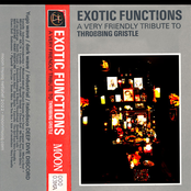 Exotic Functions: A Very Friendly Tribute to Throbbing Gristle