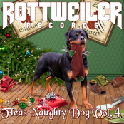 Fleas Naughty Dog Vol. 4