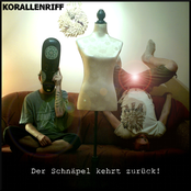 Der Schnäpel kehrt zurück!