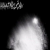 Quintesssence of Man