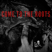Come to the Roots