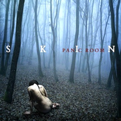 Skin by Panic Room