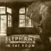 Elephant in the Room