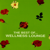 The Best of…Wellness Lounge Disc 1