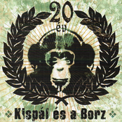 20 év