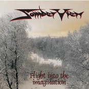 Flight Into The Imagination