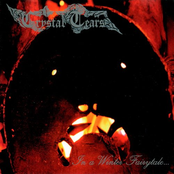 In A Winter Fairytale...