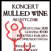 Mulled Wine- Biblioteka Elbląska 2010/2011