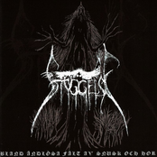 Bland Andlosa Falt Av Snusk Och Hor