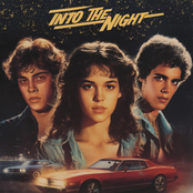 Into The Night