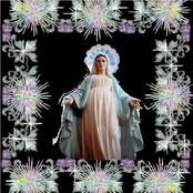 mallwhore (ytmp3 speed mix)