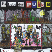 Es Lebe der Punk vol.8