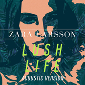 Lush Life (Acoustic Version) Album Picture