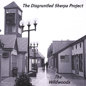 The Wildwoods