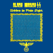 Hidden in Plain Sight