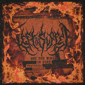 Set the World on Fire