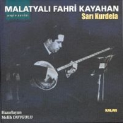 Sari kurdela