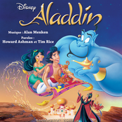 Aladdin 'French Edition'