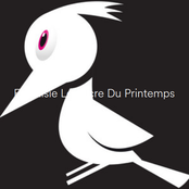 Fantaisie Le Sacre Du Printemps