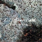 An Iron Sleep by Cut Off Your Hands