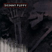 Skinny Puppy: Remission