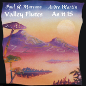 Valley Flutes / As it IS