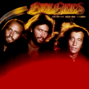 Bee Gees: Spirits Having Flown