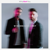 Wish We Never Met - Single
