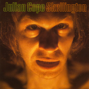 Beaver by Julian Cope