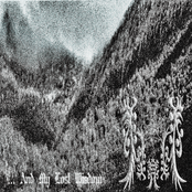 ... And my Lost Wisdom