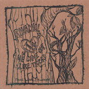 True Love, Always - Split with We Came out like Tigers