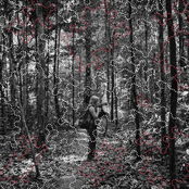 The Amazon—where the Moon Wept