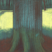 Bower