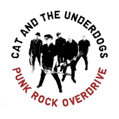 Punk Rock Overdrive