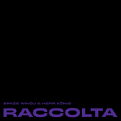 Raccolta