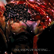 Invasion Of Rotting...