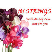 Fascination by 101 Strings