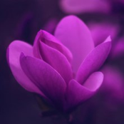 what was I made for? (Instrumental)