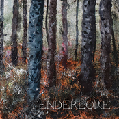 Tenderlore