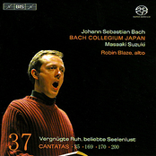 BACH, J.S.: Cantatas, Vol. 37 (BWV 35, 169, 170, 200)